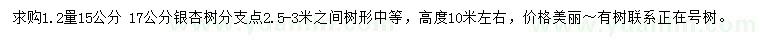 求購胸徑15、17公分銀杏