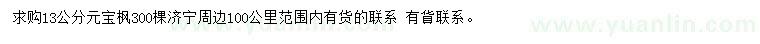 求購13公分元寶楓