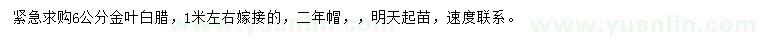 求購6公分金葉白臘