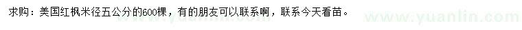 求購米徑5公分美國紅楓