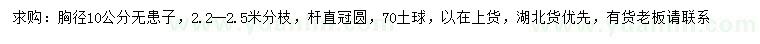 求購胸徑10公分無患子