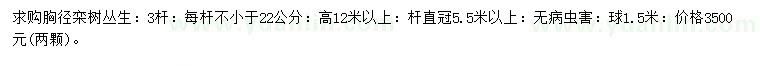 求購高12米以上欒樹