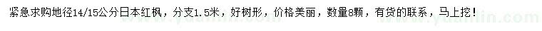 求購地徑14、15公分日本紅楓