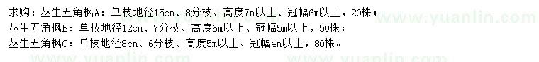 求購高5、6、7米以上叢生五角楓