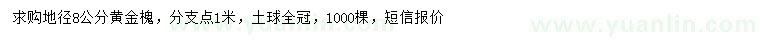 求購地徑8公分黃金槐