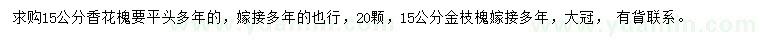 求購(gòu)15公分香花槐、金枝槐