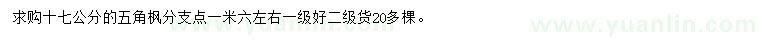 求購(gòu)17公分五角楓