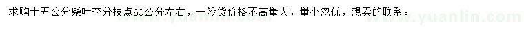 求購(gòu)15公分柴葉李
