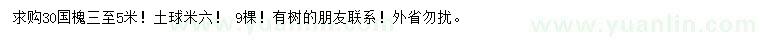 求購(gòu)30公分國(guó)槐