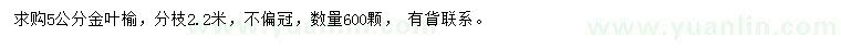 求購(gòu)5公分金葉榆