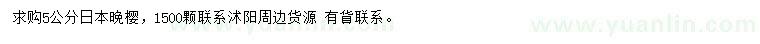 求購5公分日本晚櫻