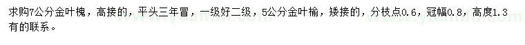 求購7公分金葉槐、5公分金葉榆