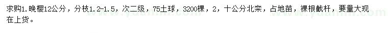 求購12公分晚櫻、10公分北欒