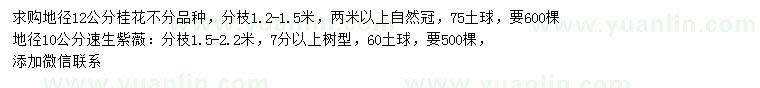 求購地徑12公分桂花、地徑10公分速生紫薇