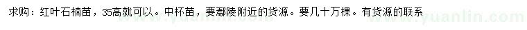 求購(gòu)高35公分紅葉石楠