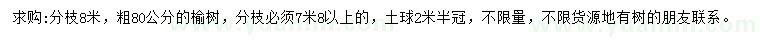 求購80公分榆樹
