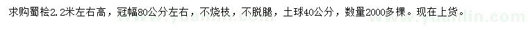 求購高2.2米左右蜀檜