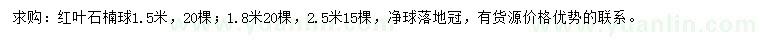 求購1.5、1.8、2.5米紅葉石楠球