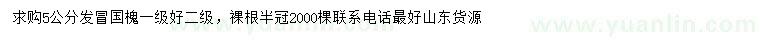 求購(gòu)5公分國(guó)槐