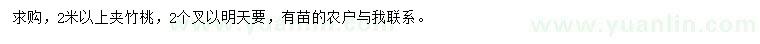 求購2米以上夾竹桃