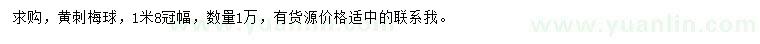求購冠幅1.8米黃刺梅球