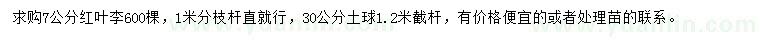 求購7公分紅葉李