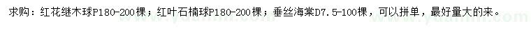 求購紅花繼木球、紅葉石楠球、垂絲海棠