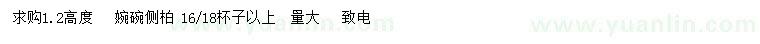 求購高1.2米側(cè)柏