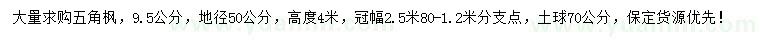 求購地徑50公分五角楓