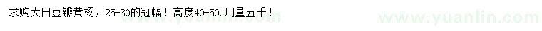 求購(gòu)冠幅25-30公分豆瓣黃楊