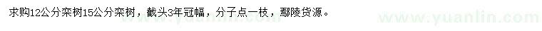 求購12、15公分欒樹