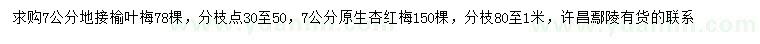 求購7公分榆葉梅、原生杏紅梅