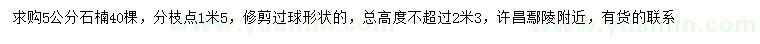 求購5公分石楠