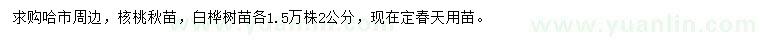 求購2公分核桃楸、白樺