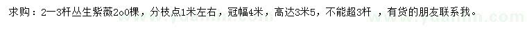 求購高3.5米叢生紫薇