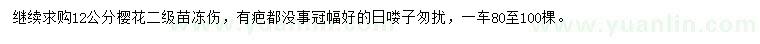 求購12公分櫻花