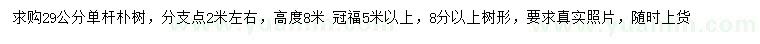 求購(gòu)29公分樸樹