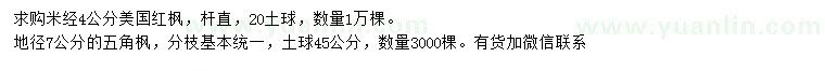 求購米徑4公分美國紅楓、地徑7公分五角楓
