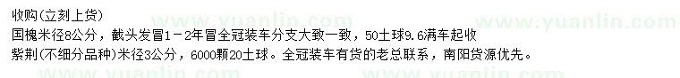 求購米徑8公分國槐、米徑3公分紫荊
