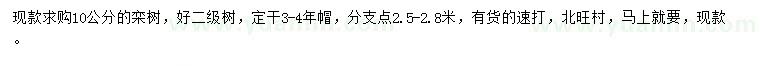 求購(gòu)10公分欒樹(shù)