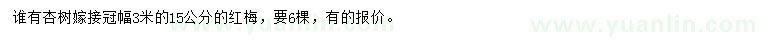 求購15公分紅梅