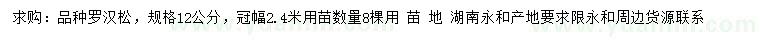 求購12公分羅漢松