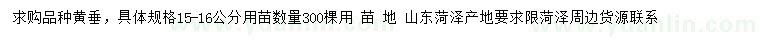 求購15-16公分黃垂