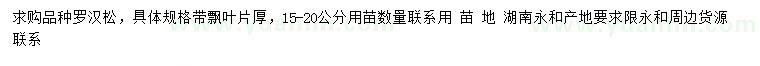 求購(gòu)15-20公分羅漢松