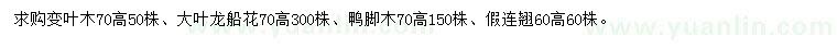 求購變?nèi)~木、大葉龍船花、鴨腳木等