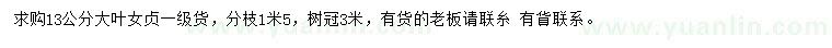 求購13公分大葉女貞