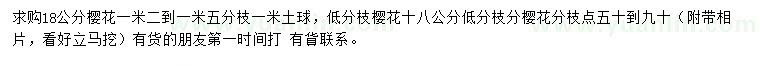 求購18公分櫻花