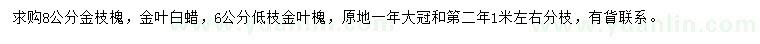 求購金枝槐、金葉白蠟、金葉槐