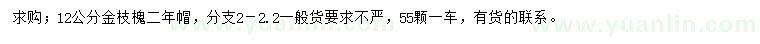 求購12公分金枝槐