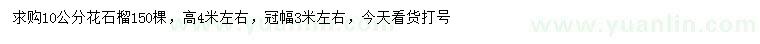 求購10公分花石榴
